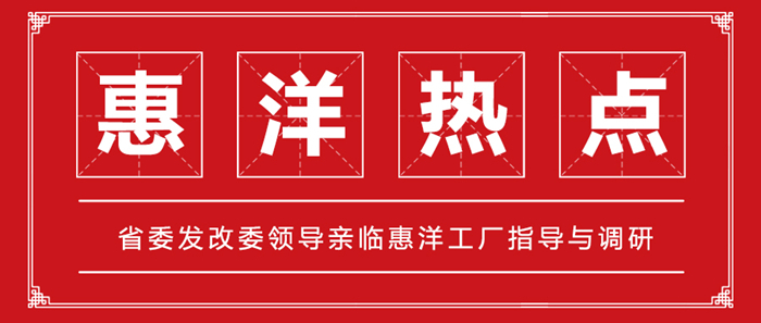 省委發改委領導親臨黄瓜影院污免费下载工廠指導與調研